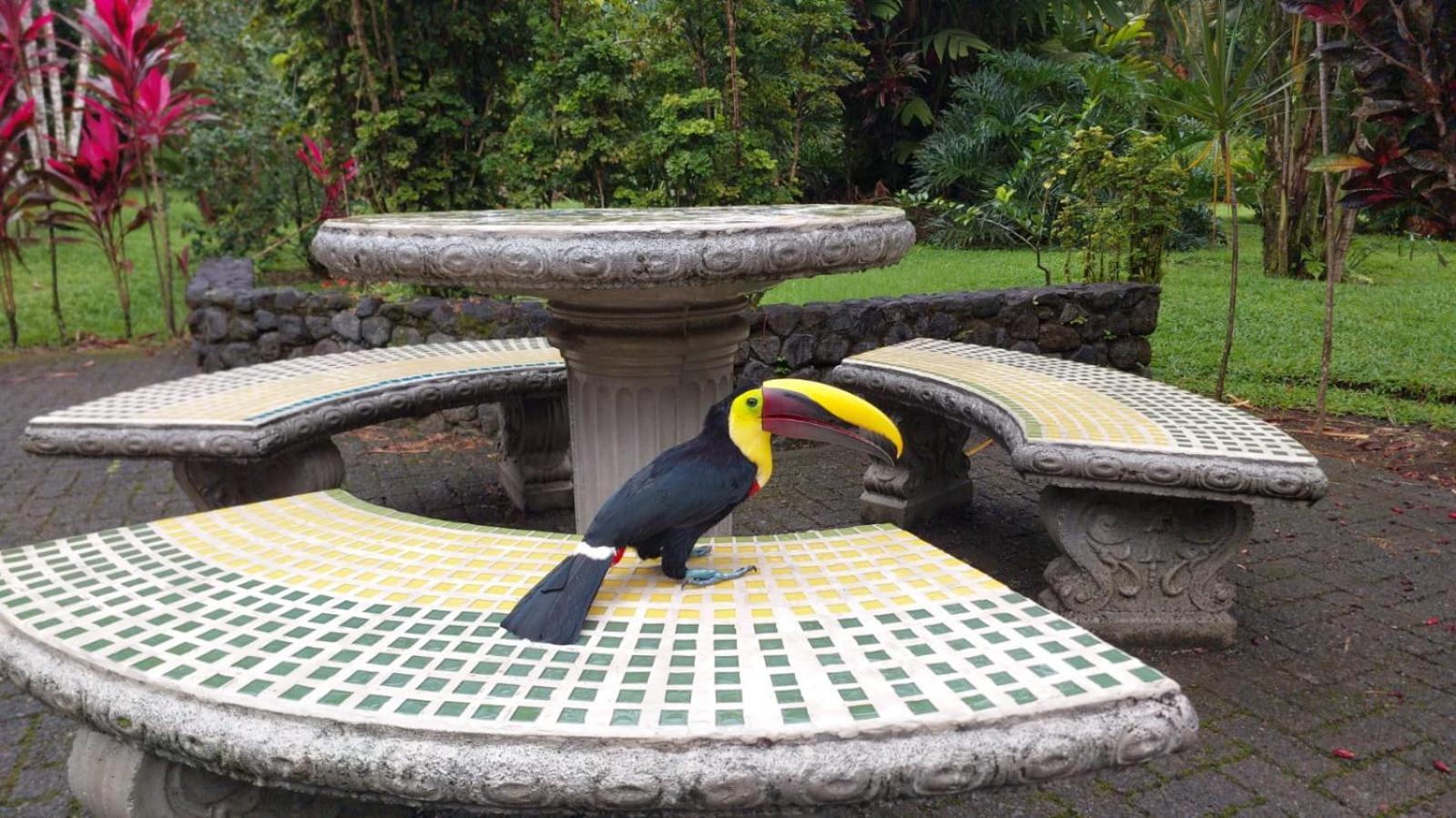 Hotel Arenal Country Inn La Fortuna Exterior photo