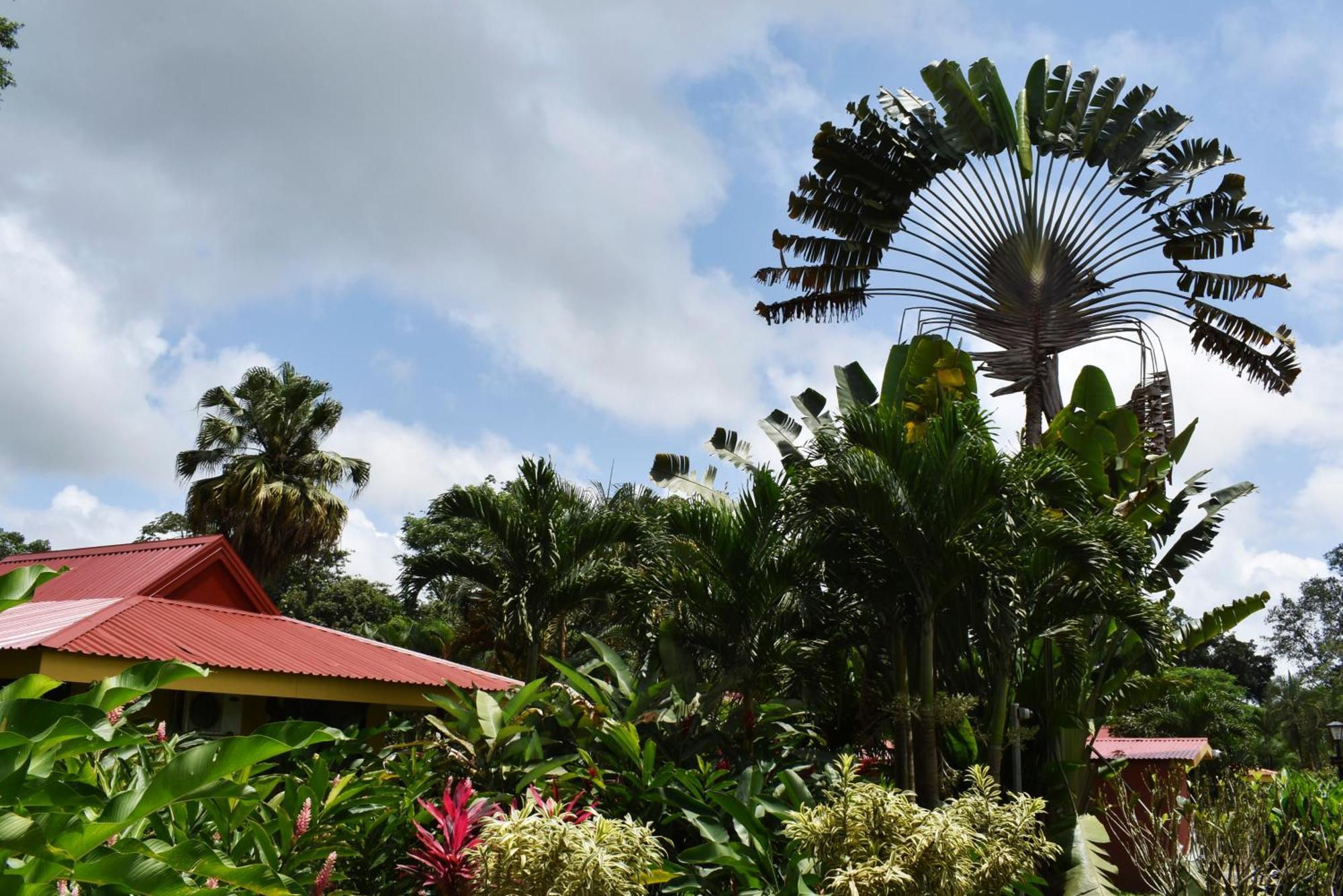 Hotel Arenal Country Inn La Fortuna Exterior photo