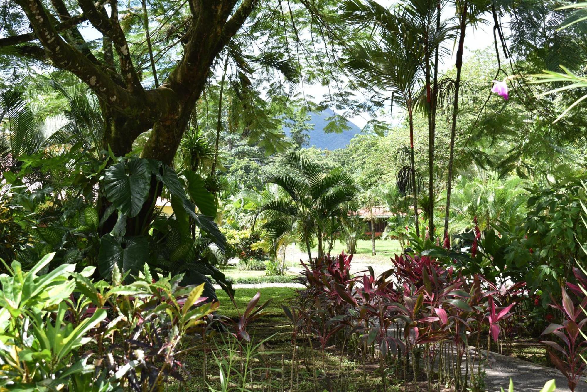 Hotel Arenal Country Inn La Fortuna Exterior photo